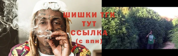 mdpv Белокуриха