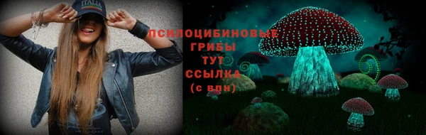 бошки Беломорск