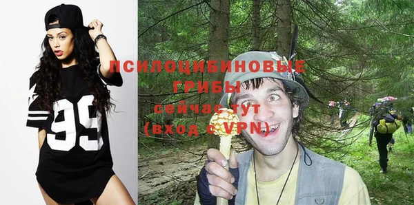 бошки Беломорск